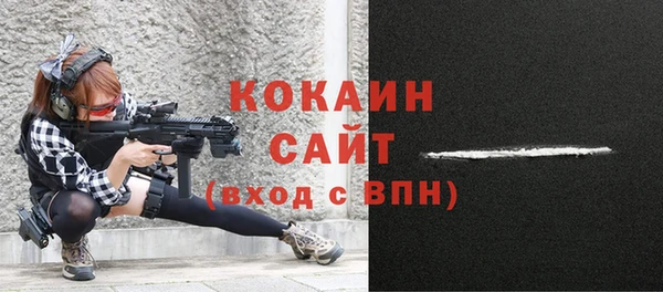 шишки Лиски